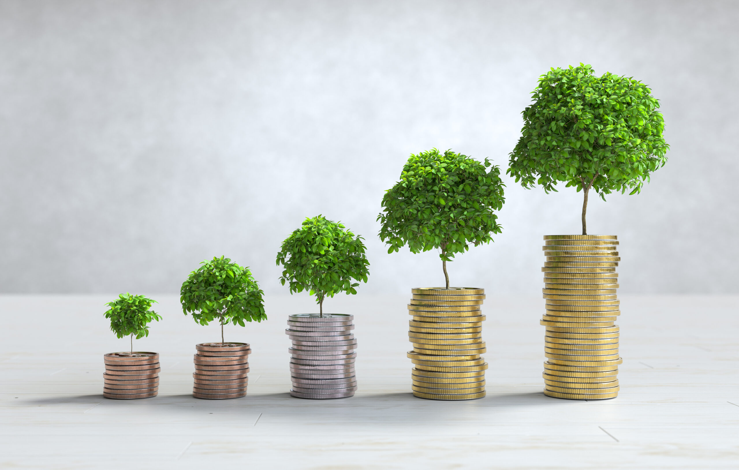 Vision — wealth growth